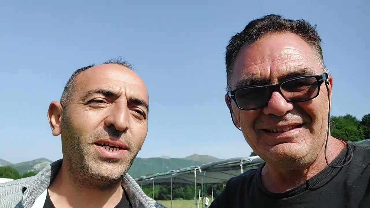 TOKAT ALMUS ORMANDİBİ YAYLA ȘENLIKLERİ 2025