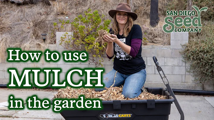 MULCH | How we use it & why it's SO IMPORTANT for our garden