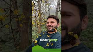 İlk Baharın Habercisi Kızılcık Çiçekleri Açtı.. Öydeyaşam Izılcık