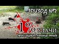 1% УДАЧИ. Эпизод 007. Охота с луком на диких свиней в Техасе Часть 2