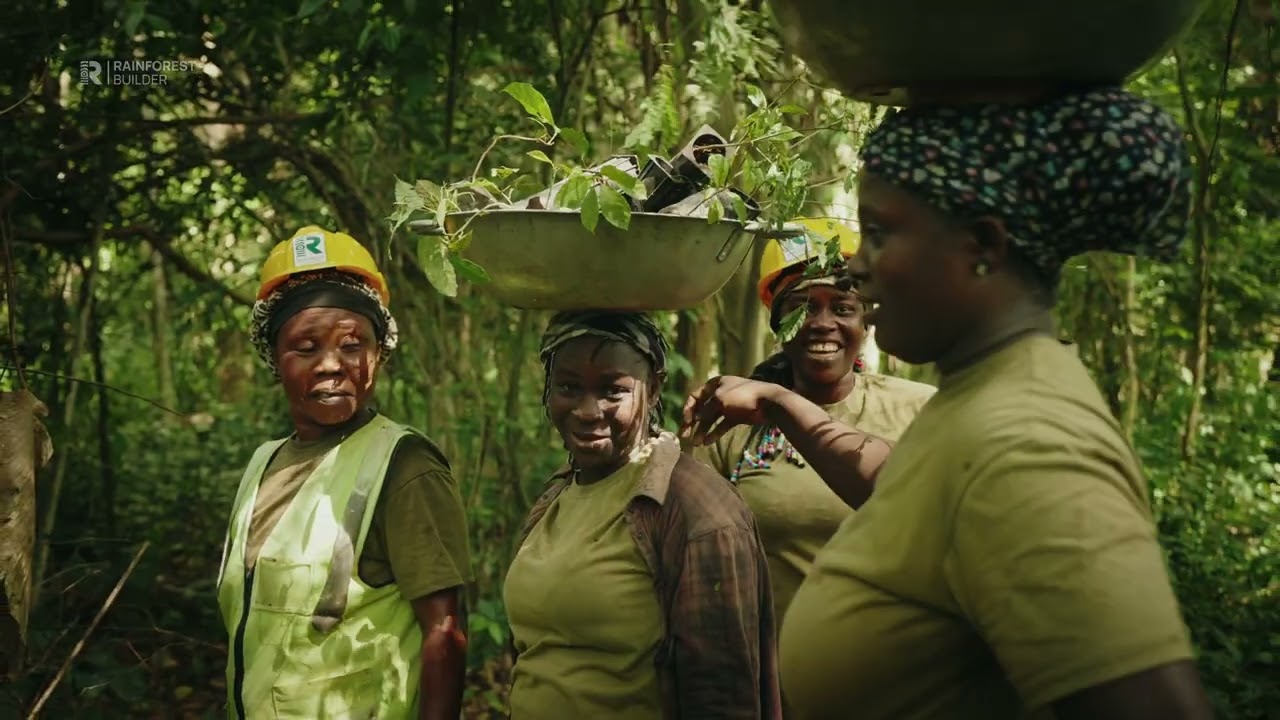 Rainforest Builder: Restoring Ghana's Forests