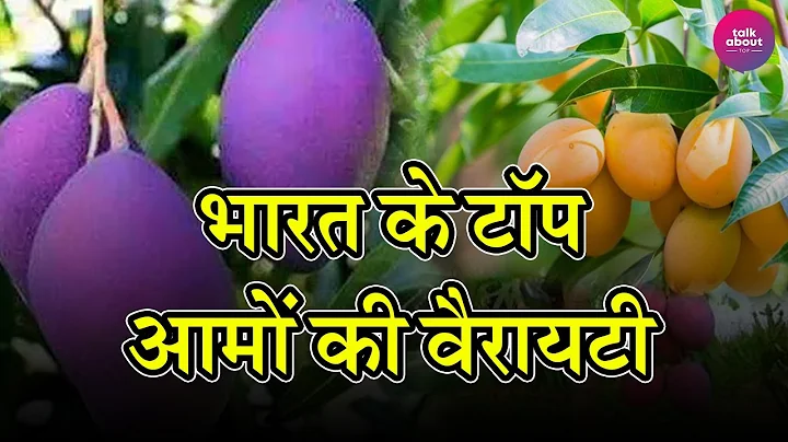 Top Best Mango Varieties in India |        | Talk ...
