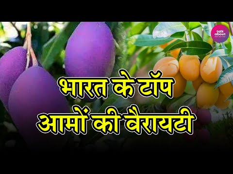 वीडियो: सबसे लोकप्रिय कंकड़ टेक रंग क्या है?