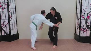 Blocks and Punches for Black Belt: Double Blocking with Counters