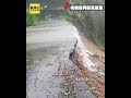 桃園復興山坡崩塌！路面坍方　部分民眾受困山上
