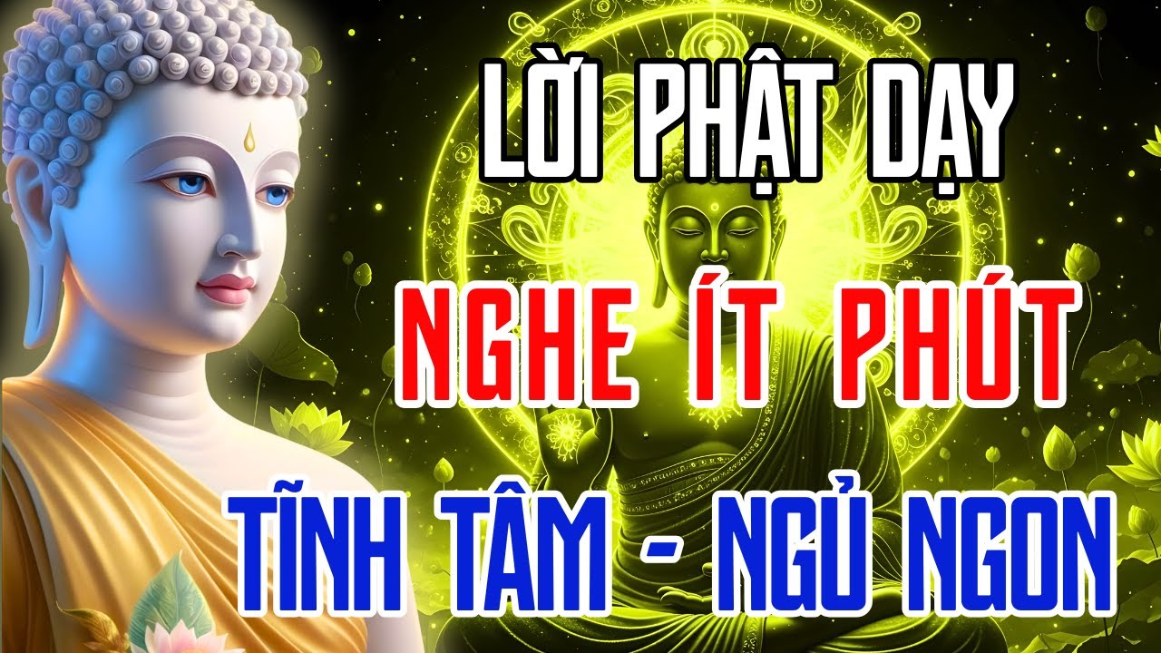 Lời Phật Dạy Trước Khi Ngủ Giúp Bạn Thay Đổi Cuộc Sống: Buông Bỏ Khổ Đau, Đón Nhận An Lạc