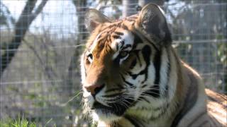 Wingham Wildlife Park - April 2016