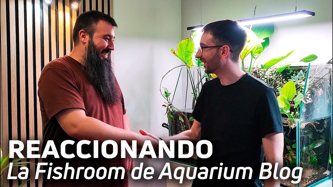 😲Cap Nº45: Tiene Peces Raros y Exóticos que Nunca Verás en las Tiendas