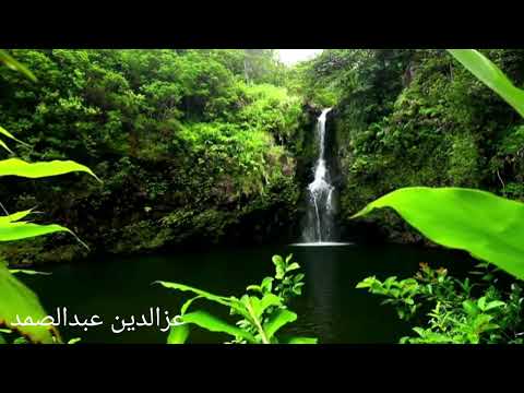 المنشد العملاق رشيد غلام تدللت في البلدان 