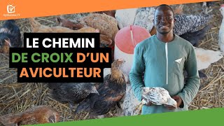 Burkina Faso : Le chemin de croix d’un aviculteur