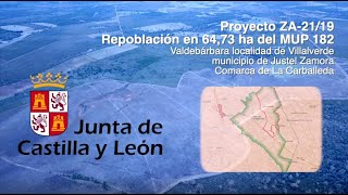 Repoblación forestal de FORESA en JUSTEL (Zamora)