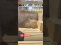 How To Smoke Top Connector on Mirage (Easy Kill Setup) #cs2 #feed