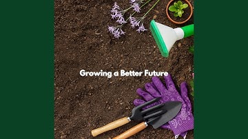 Scintillating Ambience for Atmospheric After Hours