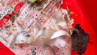 Natural Product Chemistry in IIT BHU| Advancement in Science 
