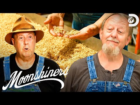 Video: Har moonshiners lisenser?