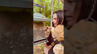 Squirrel Stuck in Feeder, Human Lifts Lid for Release