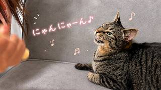 娘の歌声につられた猫がまさかのこうなりました