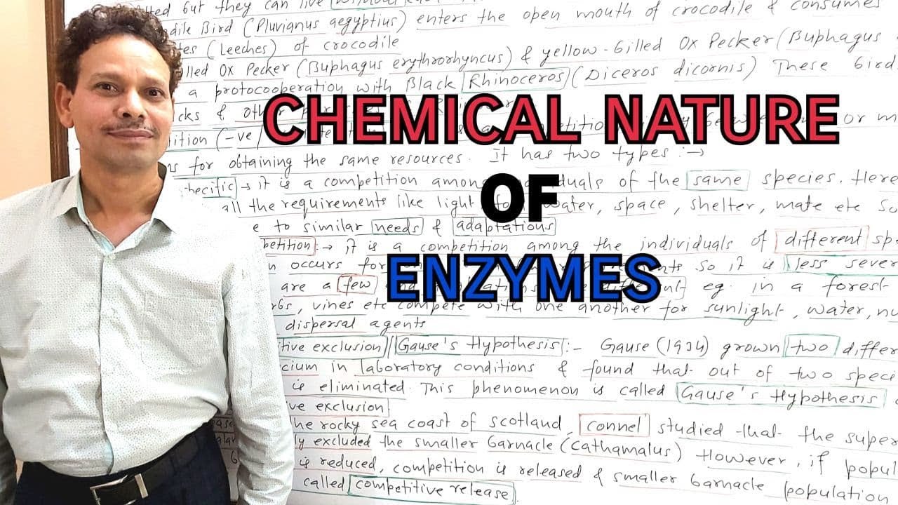 Chemical Nature of Enzymes EnzymesPart 2 Biomolecules For IAS