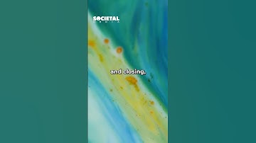 The Dark Side Of Psychedelics And The Impacts Of HPPD #psychedelic #hppd