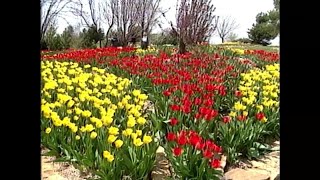 WATCH: Video Vault...Let’s think spring!