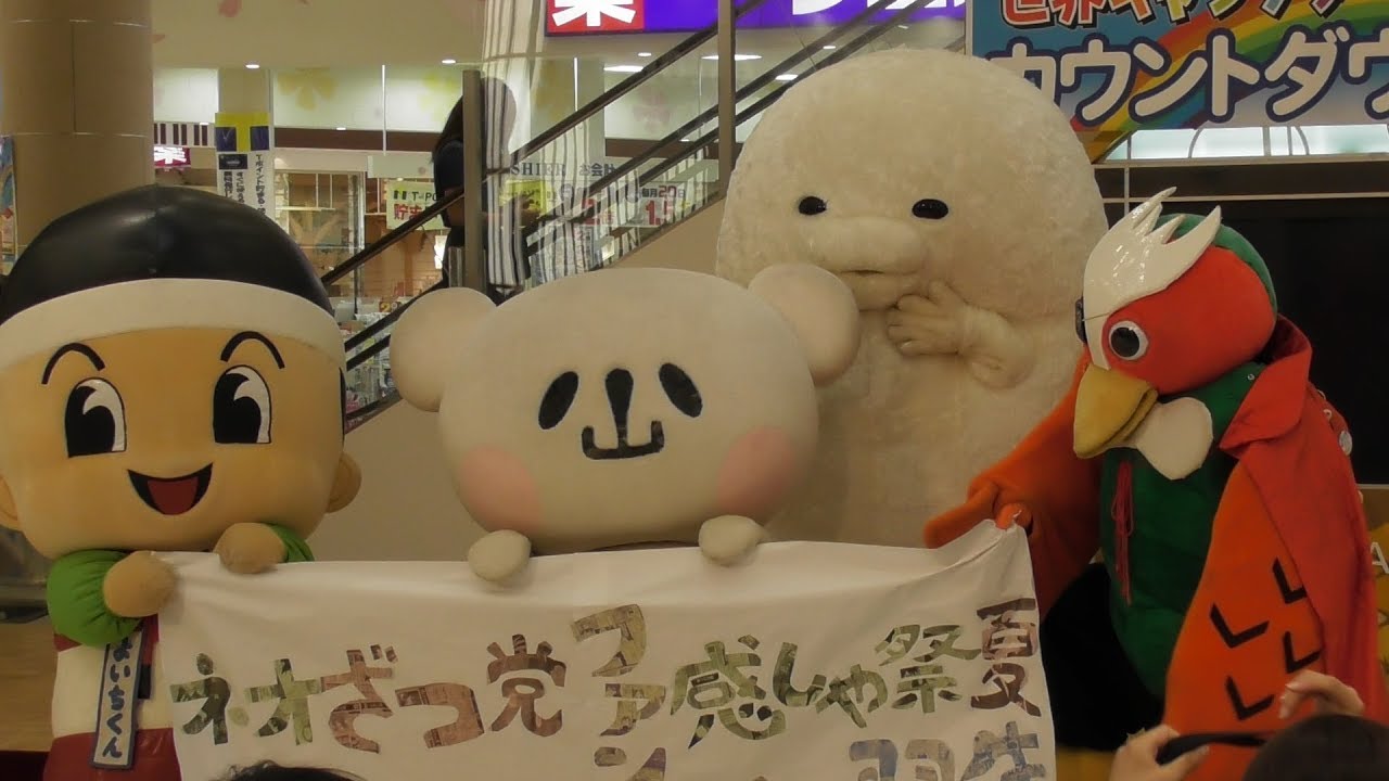 ざつ党フォトセッション