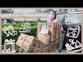 GROCERY SHOPPING WITH ME | Francine Diaz