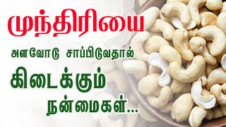 Amazing Health Benefits Of Cashew Nuts Munthiri Paruppu Health Tips