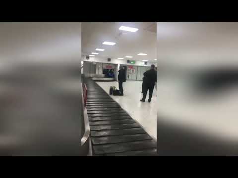 "Intrusive thoughts won": Hilarious video shows Scot taking a ride on airport luggage conveyor belt