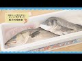 さかなクン登場!漁師さんが選ぶ本当においしい魚を使った親子料理教室