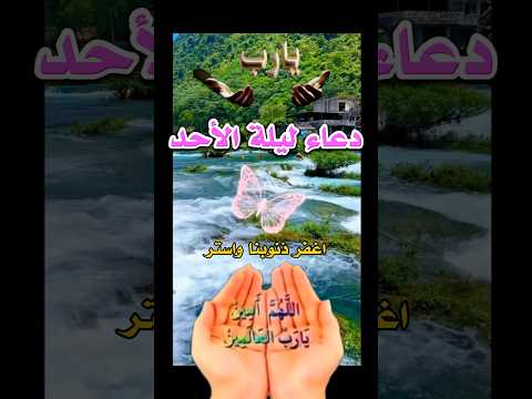 دعاء ليله الاحد جمال لطفي Viral اكسبلور دعاء دعاء مستجاب Video اسلاميات السنة النبوية