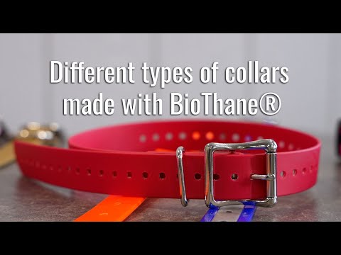Different types of collars made with BioThane®
