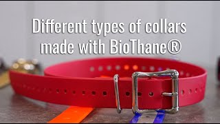 Different types of collars made with BioThane®