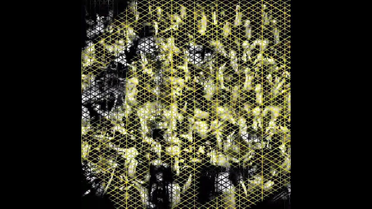 Watch Saura - Thomas Pizzini & Andrea Massaria on YouTube Watch Saura - Thomas Pizzini & Andrea Massaria on YouTube