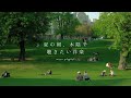 【Playlist】夏の朝、木陰で聴きたい洋楽🍃 | 作業用BGM | Chill BGM