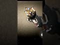 Biking Gaming