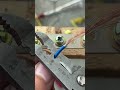 Proper Way To Connect Wire With Connector #shortvideo #wire