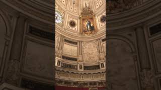 IMG 4478