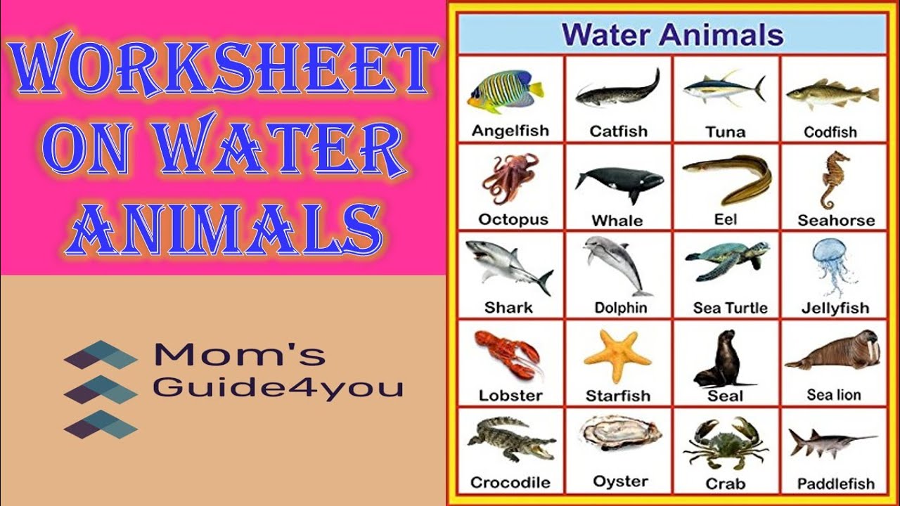 Water Animals Chart