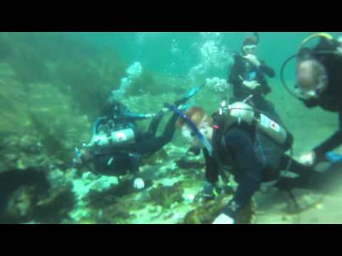 UNCW Scuba Dive Certification Trip