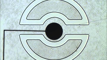 On-Chip Regeneration of Aptasensors for Monitoring Cell Secretion