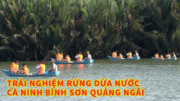 Trải nghiệm rừng dừa nước cà ninh bình sơn quảng ngãi