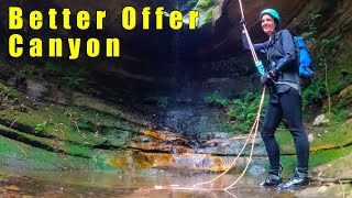 Better Offer Canyon - Bells Line - Blue Mountains Canyoning - 4K