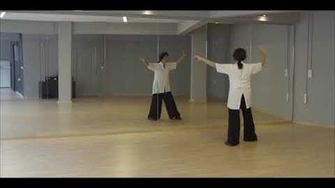 Dong style taijichuan slow set 3rd part-2015