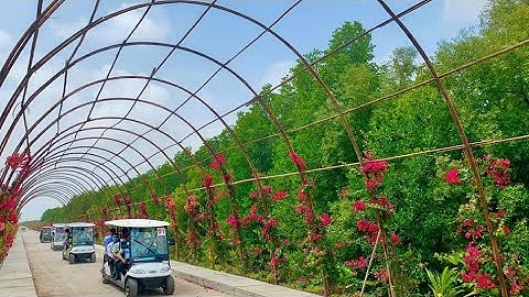 Phần 1  Tham quan điện gió Hoà Bình Bạc Liêu