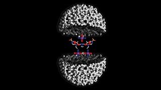Amorphous Quantum Nanomaterials