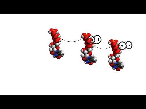 Video: Koja je kemijska formula za DNK?