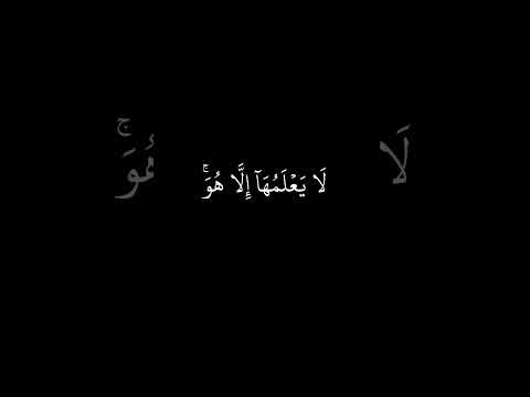 آية تهتز لها القلوب وعنده مفاتح الغيب بصوت الشيخ محمود الشحات أنور شاشة سوداء