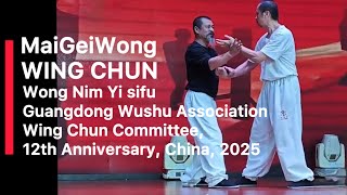 Wong Nim Yi Sifu Mai Gei Wong Wing Chun Chi Sau Guangdong Wushu 12Th Anniversary 2025, China