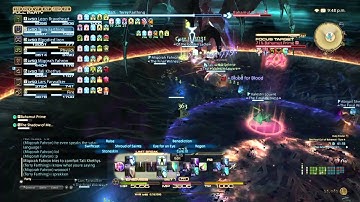 FFXIV T13 Pro Wipes Part 1
