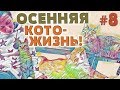 ОСЕННЯЯ КОТОЖИЗНЬ! 🍁 8 СЕРИЯ - 11-14 ноября 2018